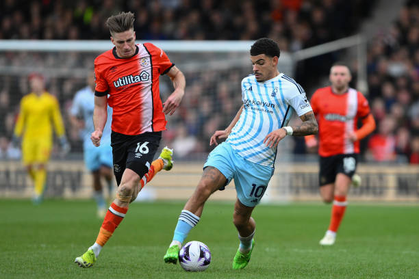 来发展的起 来发展的起